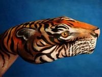 pic for hand tiger